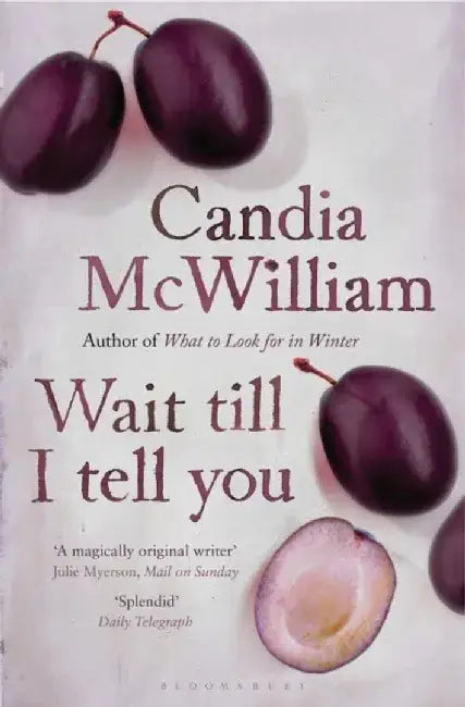Wait Till I Tell You by Candia McWilliam