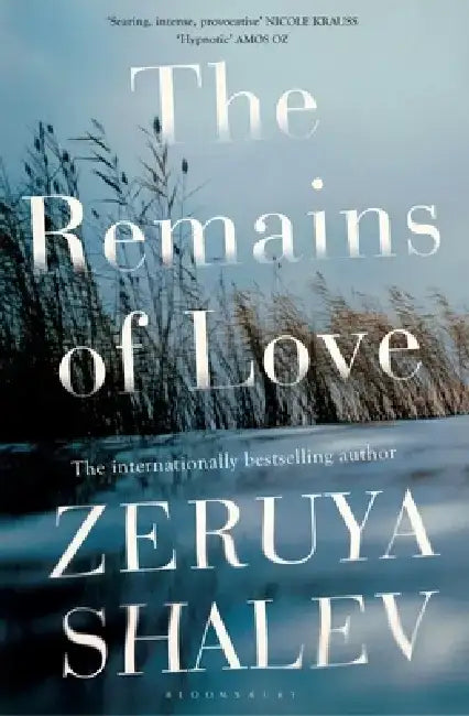 The Remains of Love by Zeruya Shalev