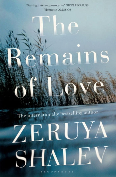 The Remains of Love by Zeruya Shalev