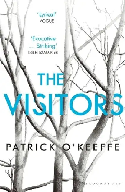 The Visitors by Patrick O'Keeffe