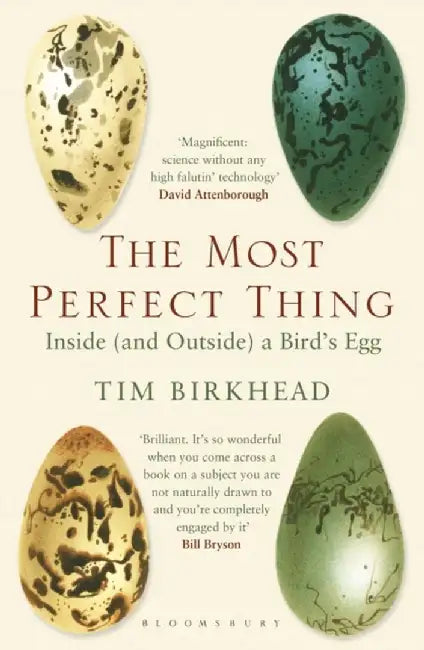 The Most Perfect Thing by Tim Birkhead