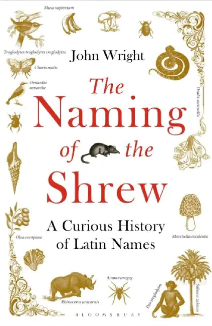The Naming of the Shrew by John Wright