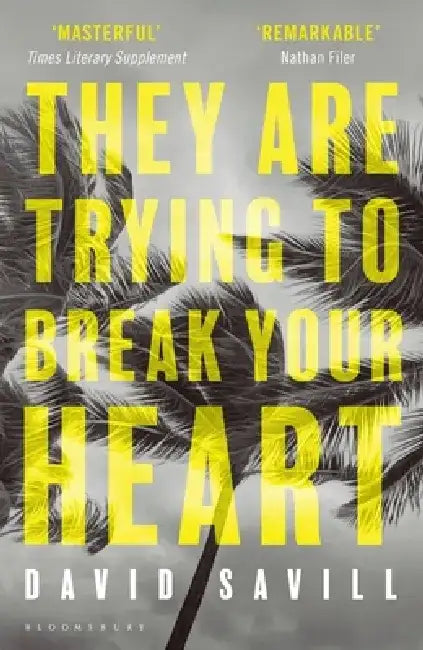 They are Trying to Break Your Heart by David Savill