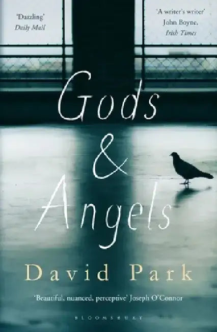 Gods and Angels by David Park