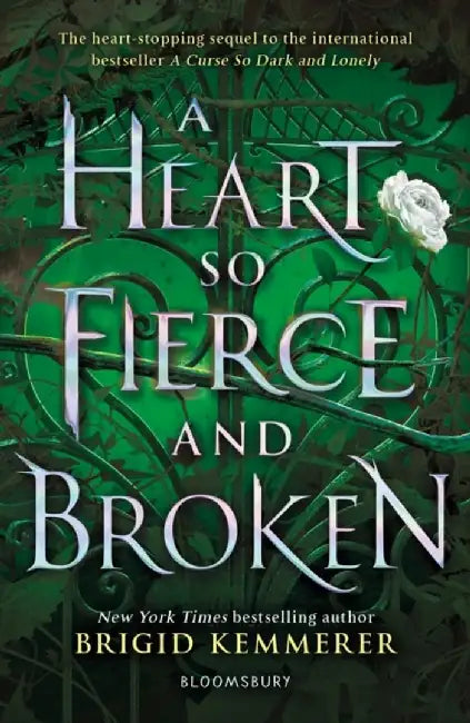 A Heart So Fierce and Broken by Brigid Kemmerer