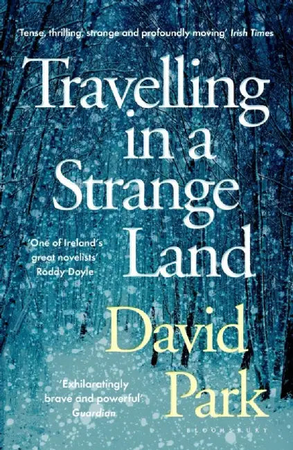 Travelling in a Strange Land by David Park
