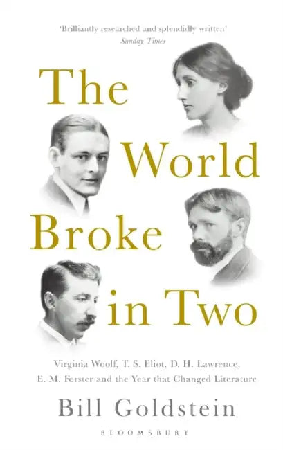 The World Broke in Two by Bill Goldstein