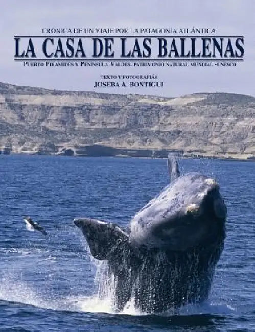 La casa de las ballenas by Joseba Andoni Bontigui Eskisabel