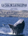La casa de las ballenas by Joseba Andoni Bontigui Eskisabel