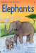 Elephants by Kate Davies
