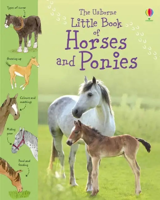Little Book of Horses and Ponies by Sarah Khan