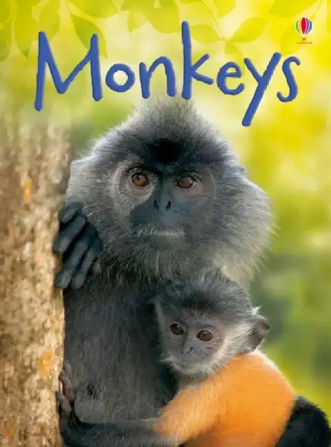 Monkeys by Allan Pritchard
