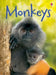 Monkeys by Allan Pritchard