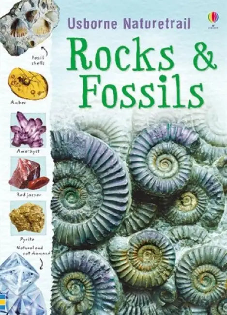 Rocks and Fossils by Struan Reid
