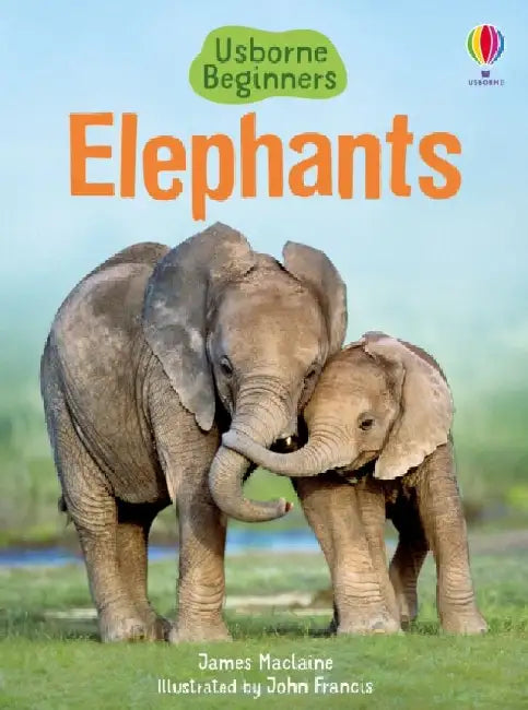 Elephants by James Maclaine