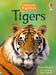 Tigers by James Maclaine