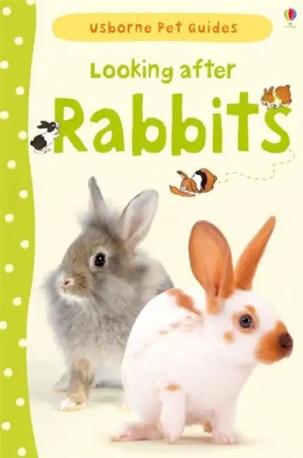 Looking after Rabbits by Fiona Patchett