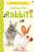 Looking after Rabbits by Fiona Patchett