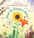 First Questions and Answers: How do flowers grow? by Katie Daynes