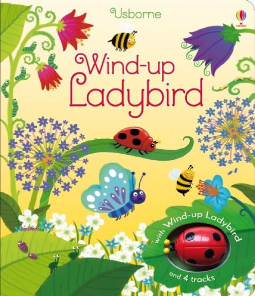 Wind-up Ladybird by Fiona Watt