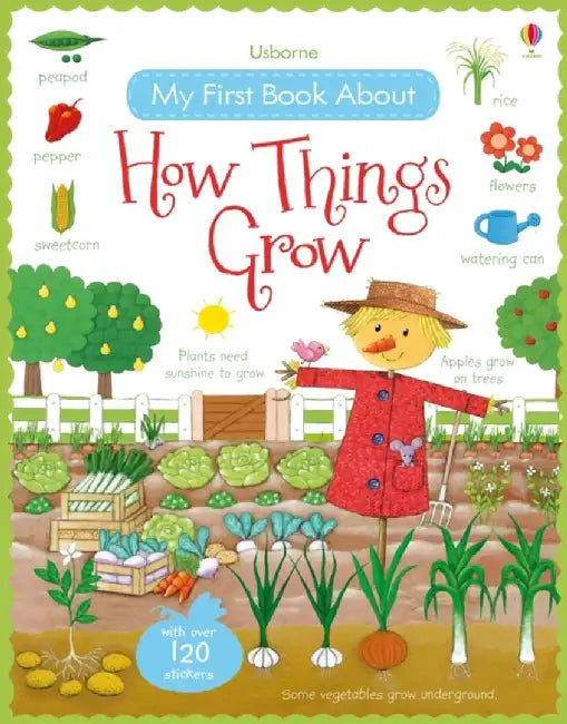 My First Book About How Things Grow by Felicity Brooks