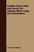 Familiar Life in Field and Forest; The Animals, Birds, Frogs, and Salamanders by F. Schuyler Mathews