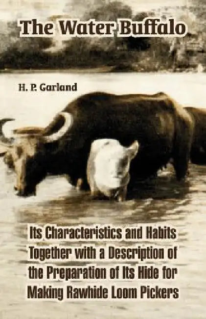 The Water Buffalo: Its Characteristics and Habits Together with a Description of the Preparation of Its Hide for Making Rawhide Loom Pickers by H. P. Garland