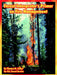 Forest Interpreter's Primer on Fire Management by Thomas M. Zelker, U. S. Forest Service