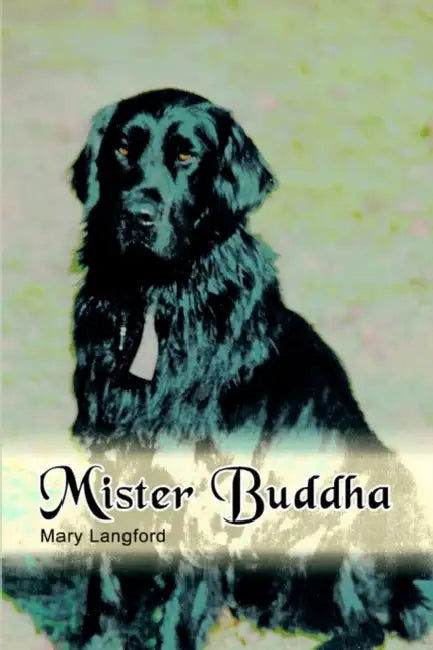 Mister Buddha by Mary Langford