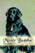 Mister Buddha by Mary Langford