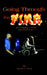 Going Through the Fire: Developing a Faith that Perseveres by David A. Treat