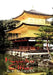 Kyushu Affair by K. F. Martin