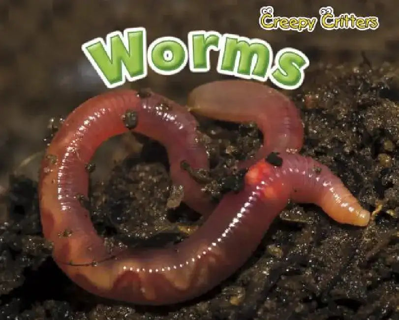 Worms by Sian Smith