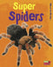 Super Spiders by Charlotte Guillain