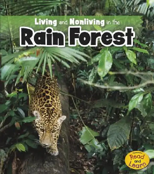 Living and Nonliving in the Rain Forest by Rebecca Rissman