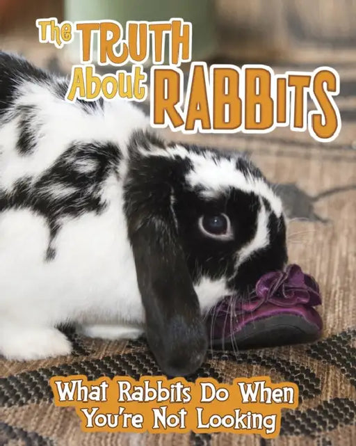 The Truth about Rabbits: What Rabbits Do When You're Not Looking by Mary Colson