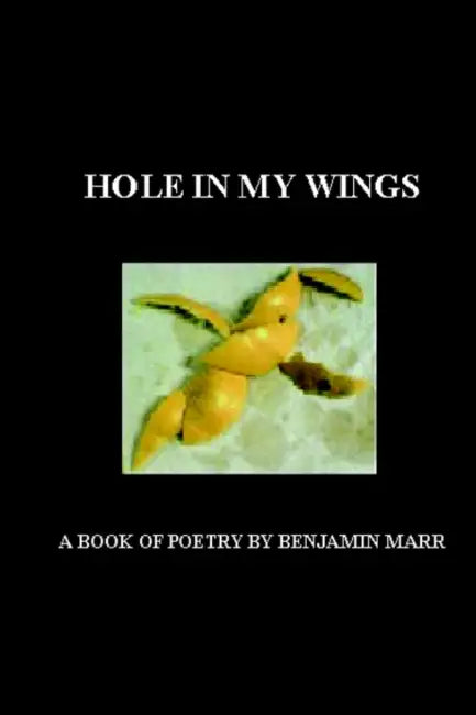 Hole in My Wings by Benjamin Marr