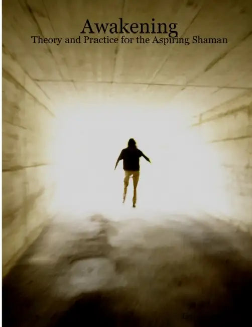 Awakening: Theory and Practice for the Aspiring Shaman by Erik McBride
