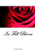 In Full Bloom by Louise Casali