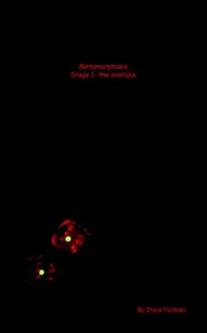 Metamorphosis/Stage 1: The Mistake by Shane Feldman