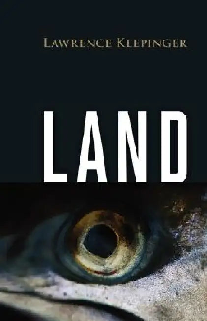 Land by Lawrence Klepinger