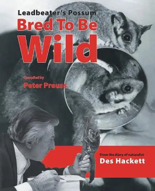 Leadbetter's Possum: Bred to Be Wild by Des Hackett