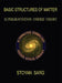 Basic Structures of Matter: Supergravitation Unified Theory by Stoyan Sarg