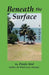 Beneath the Surface by Paula Aird