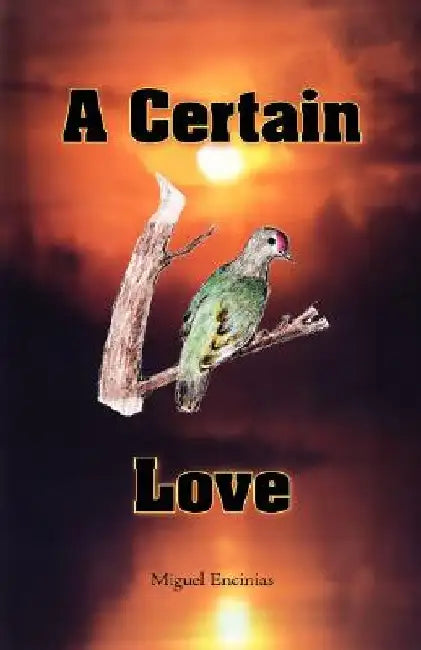 A Certain Love by Miguel Encinias