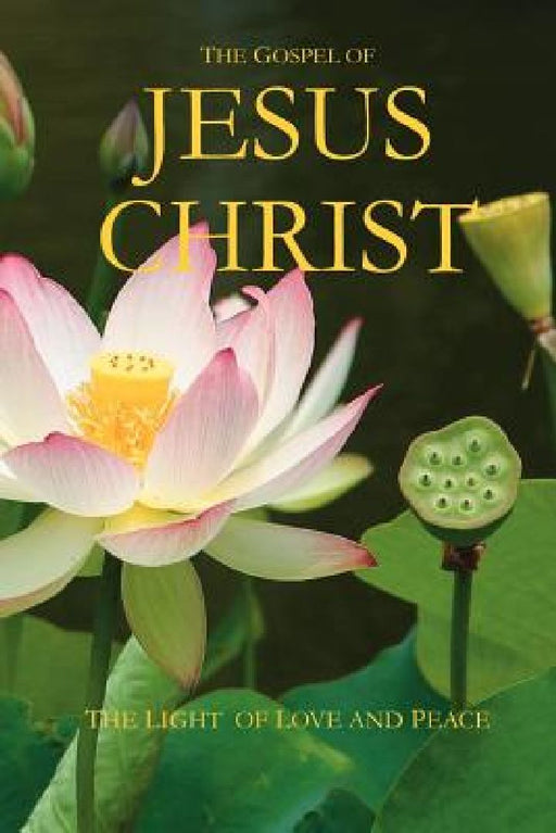 The Gospel of Jesus Christ: The Light of Love and Peace by Wilson Moreira Amarante