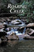 Roaring Creek by Emerson Williams