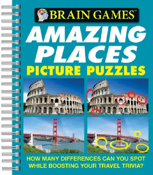 Amazing Places Picture Puzzles by Holli Fort