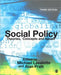 Social Policy: Theories, Concepts and Issues by Michael Lavalette