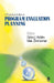 A Practical Guide to Program Evaluation Planning: Theory and Case Examples by Debra J. Holden, Marc A. Zimmerman